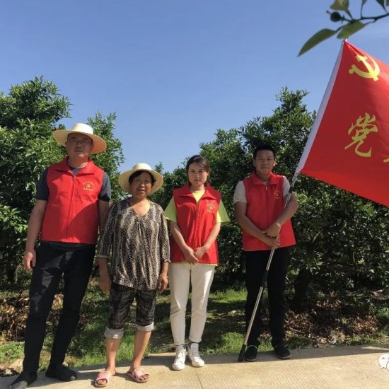 丹橙果業黨員先鋒服務隊：發揮帶頭作用，服務基層農民